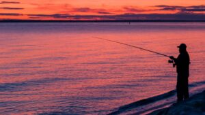 Why Compact and Efficient Retractable Fishing Rods Are Gaining Popularity