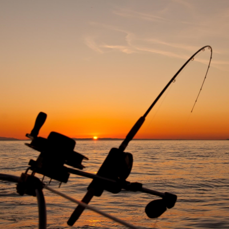 fishing at dusk